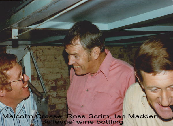 Crosse Scrim Madden
