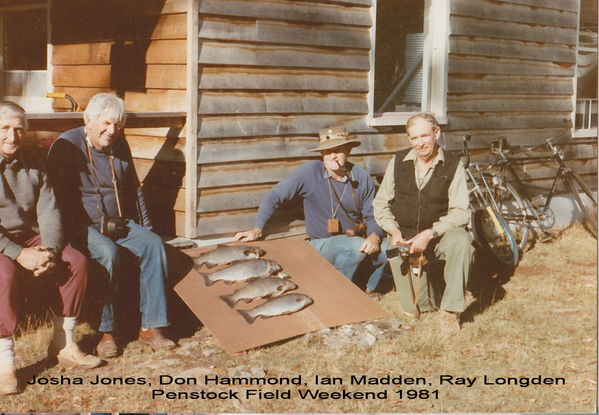 Penstock 1981~0
