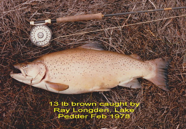 Ray Longden's 13lb brown L Pedder_resize.jpg