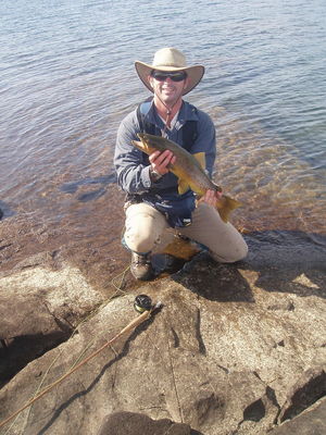 Trotty with 4lb Pillians brown
