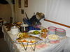 IMGP3215_resize.JPG