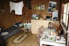 IMG_2460_resize.JPG