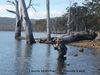 L Matcham Woods Lake_resize.jpg