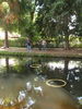 RIMG0334_resize.jpg