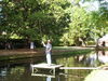 RIMG0371_resize.JPG
