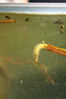 dave tadd 004_resize.jpg
