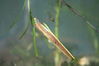 dave tadd 039_resize.jpg