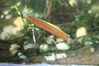 dave tadd 041_resize.jpg