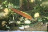dave tadd 042_resize.jpg