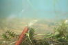 dave tadd 044_resize.jpg