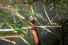 dave tadd 046_resize.jpg