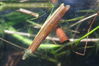 dave tadd 047_resize.jpg