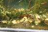 dave tadd 048_resize.jpg