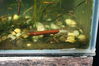 dave tadd 050_resize.jpg
