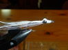 tiger_hut_2010_3_resize.JPG